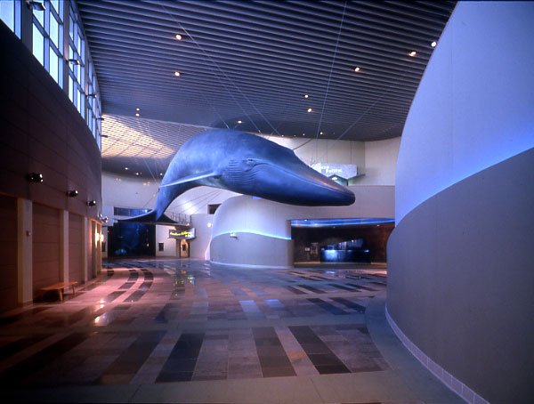 Aquarium of the Pacific - DEVEN Group